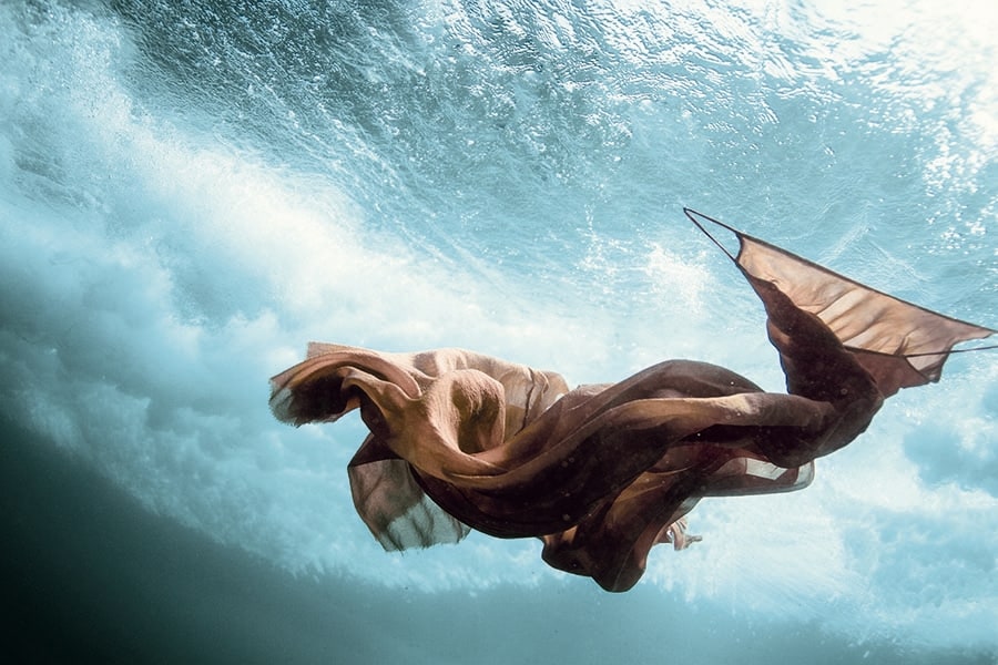 Forte Forte 10th Anniversary