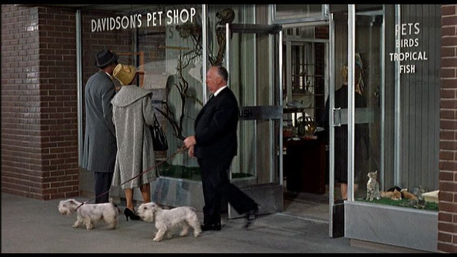 Hitchcock with Stanley and Geoffrey make a cameo appearance 