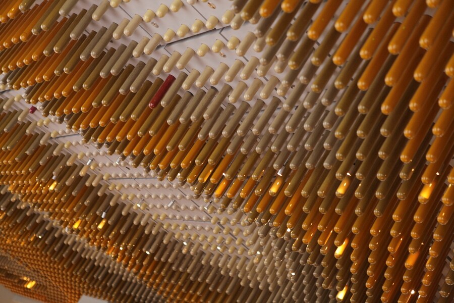 Spice receptacles ceiling at Ametsa with Arzak Instruction