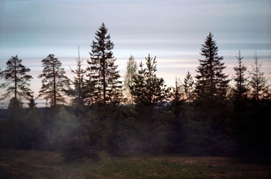 Photograph from super/collider’s Worlds In Transit expeditio