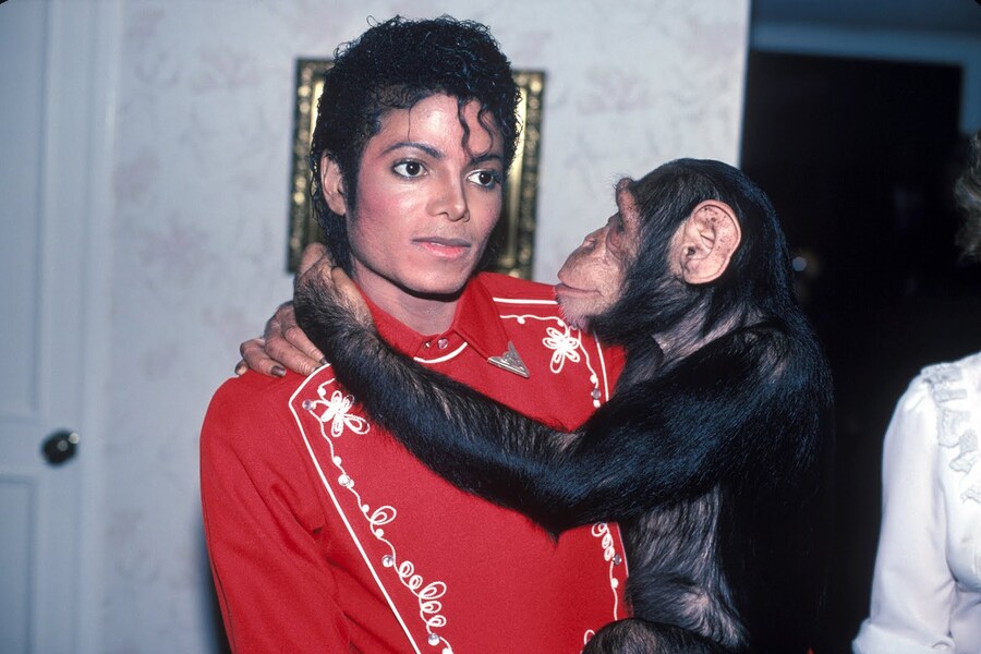 Michael Jackson and Bubbles, 1987