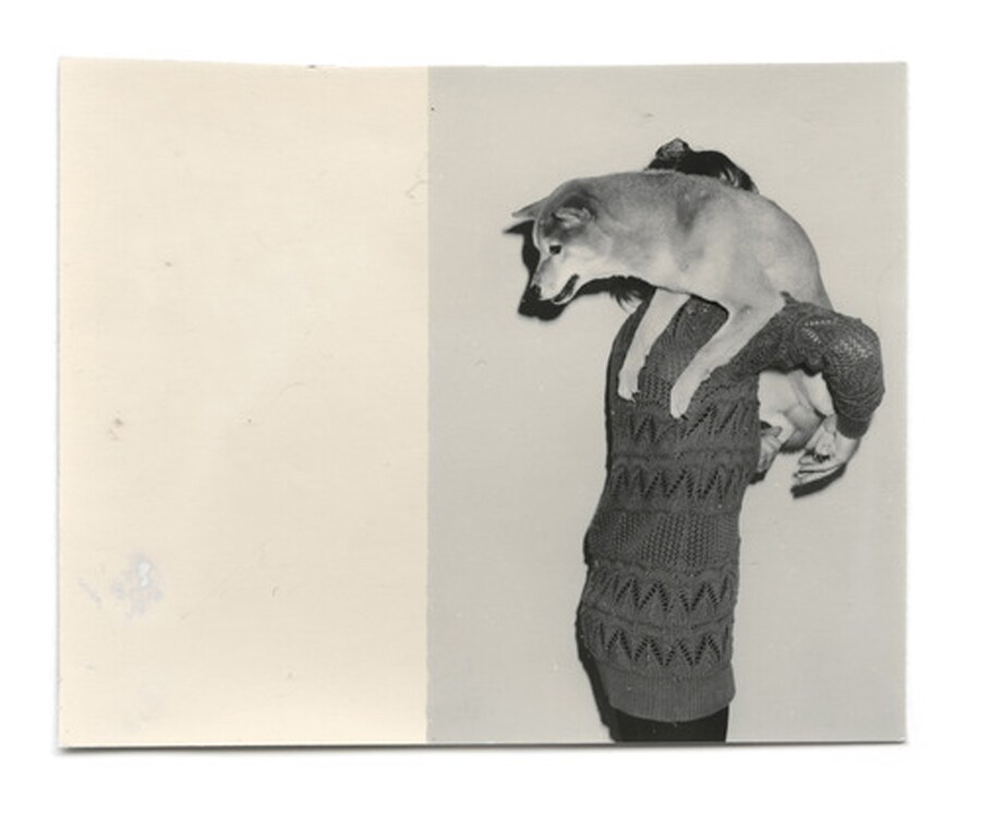 From Dogs by Mark Peckmezian