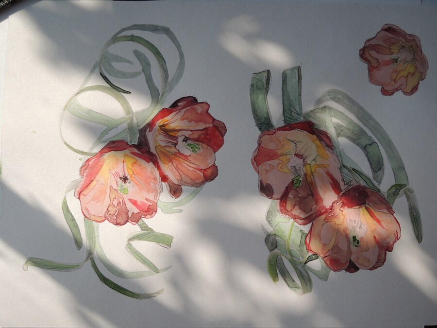 Klaus Schmidt for Creatures of the Wind