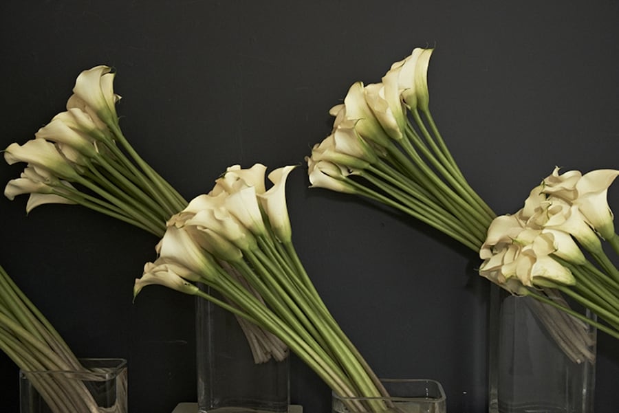 AnOther x McQueen&#39;s Launch Party