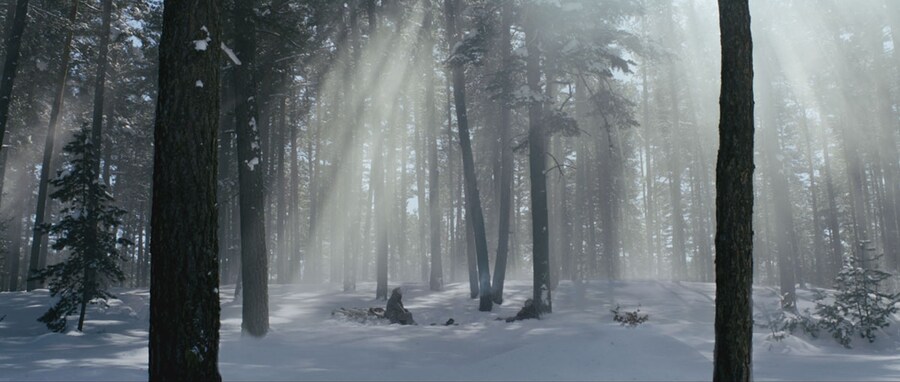 The Long Way Home (2013)