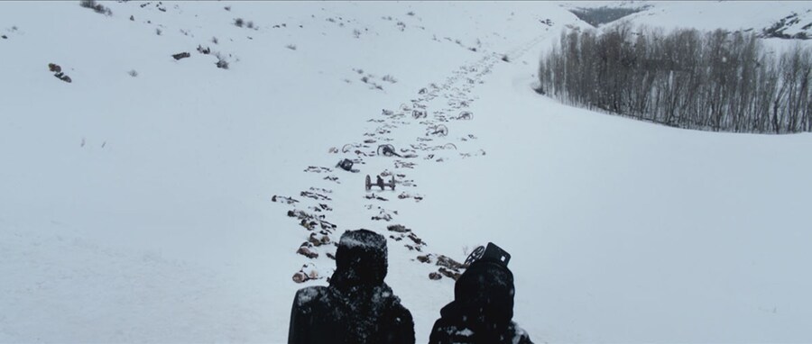 The Long Way Home (2013)