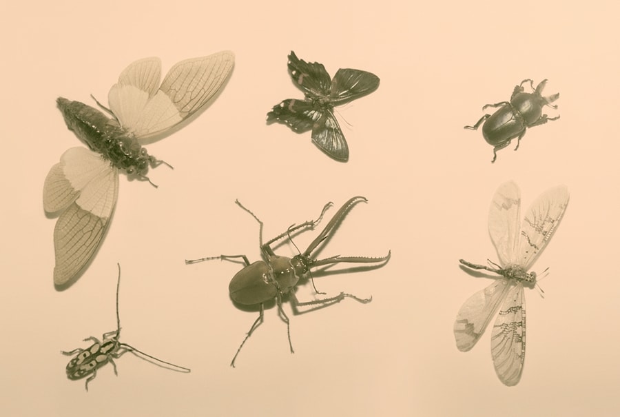 Wild Window # 36, 2013