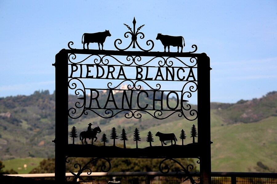 From Hearst Ranch: Family, Land and Legacy