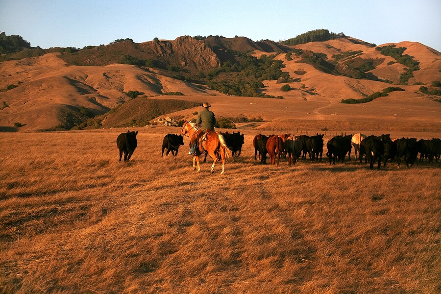 From Hearst Ranch: Family, Land and Legacy
