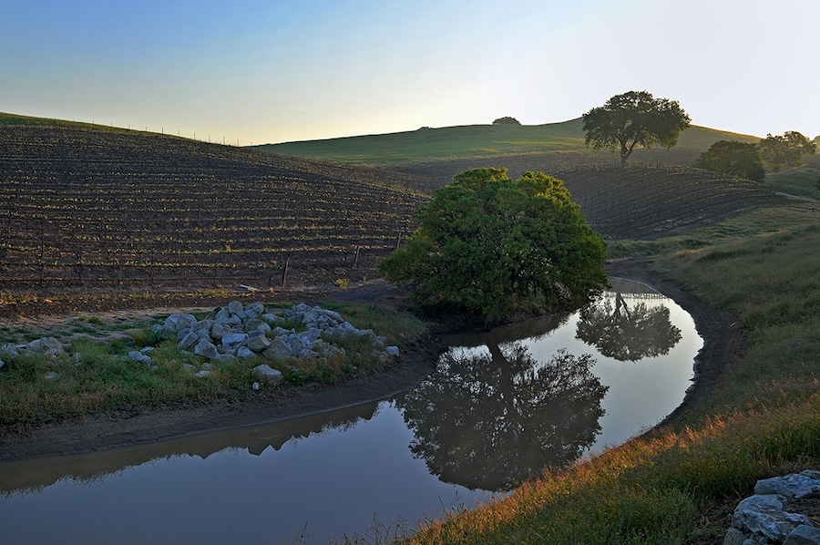 From Hearst Ranch: Family, Land and Legacy