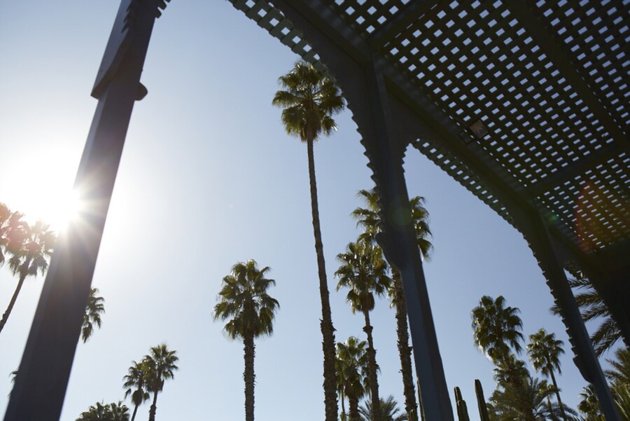 Jardin Majorelle