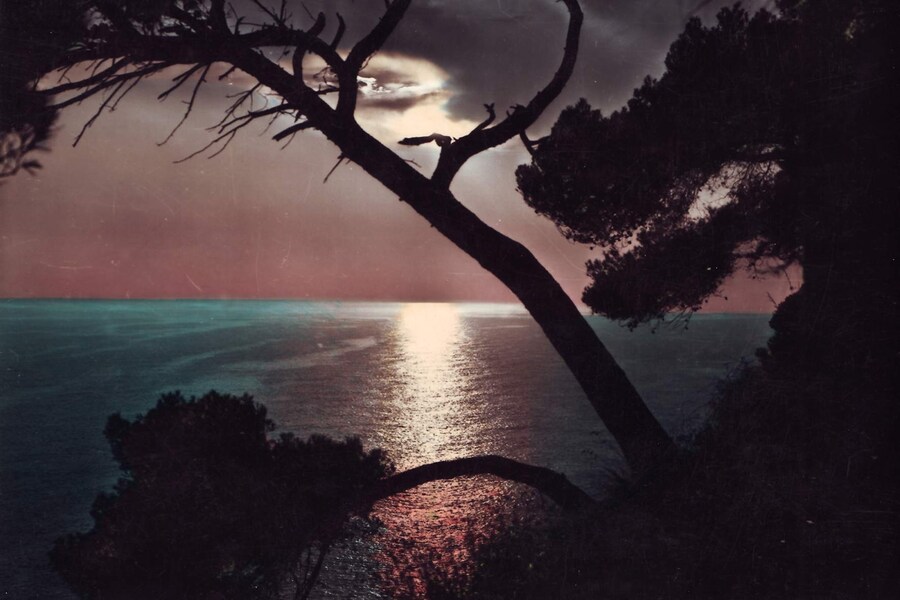 Postcard from Sunsets From...