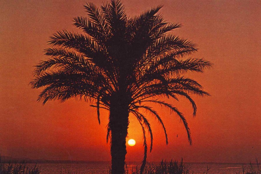 Postcard from Sunsets From...
