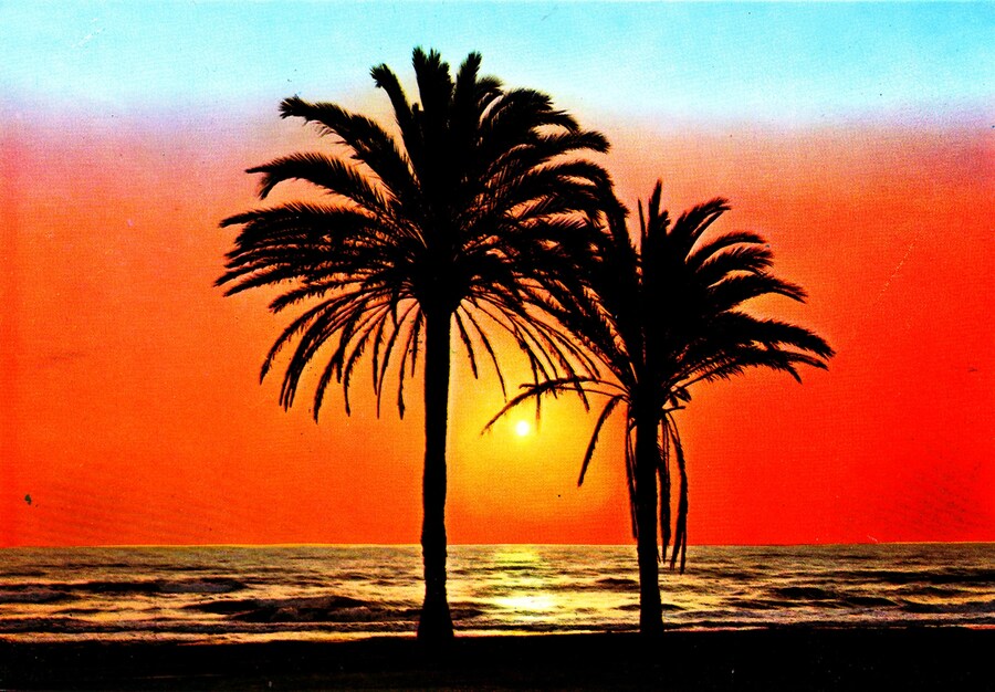 Postcard from Sunsets From...