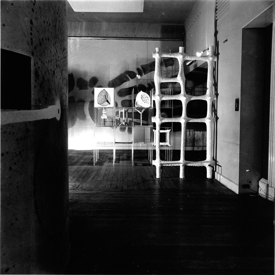 Installation shot of the Growth &amp; Form Exhibiton at the I.C.