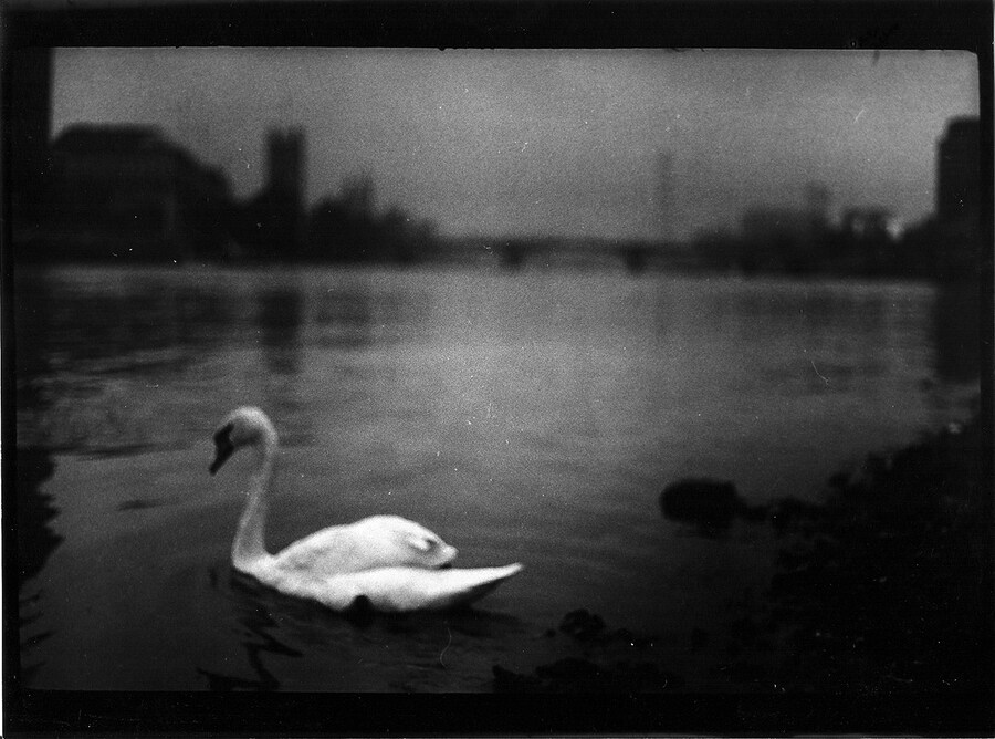 Giacomo Brunelli, Untitled from the series Eternal London, 2