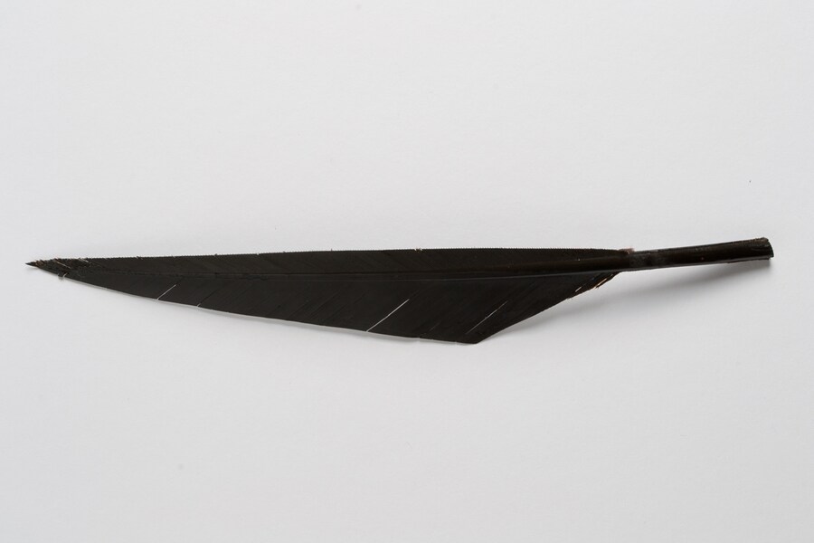 Hat trimming, cut and lacquered goose feather, 1920-1940, Mo