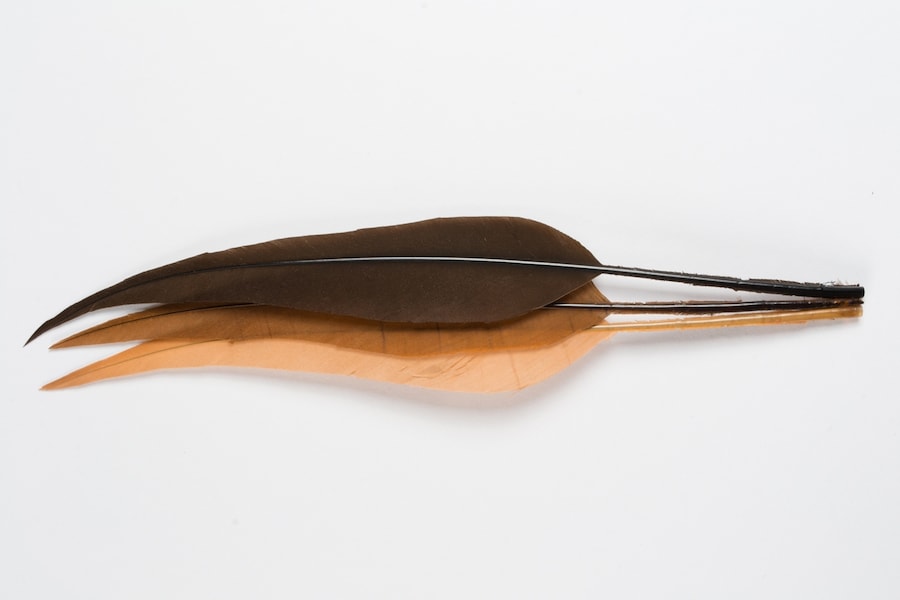 Hat trimming, cut and dyed feathers, MoMu collection T12/208