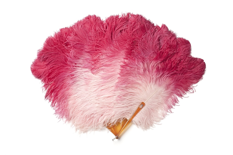 Folding fan, mount in ostrich feathers dyed in degrade, tort