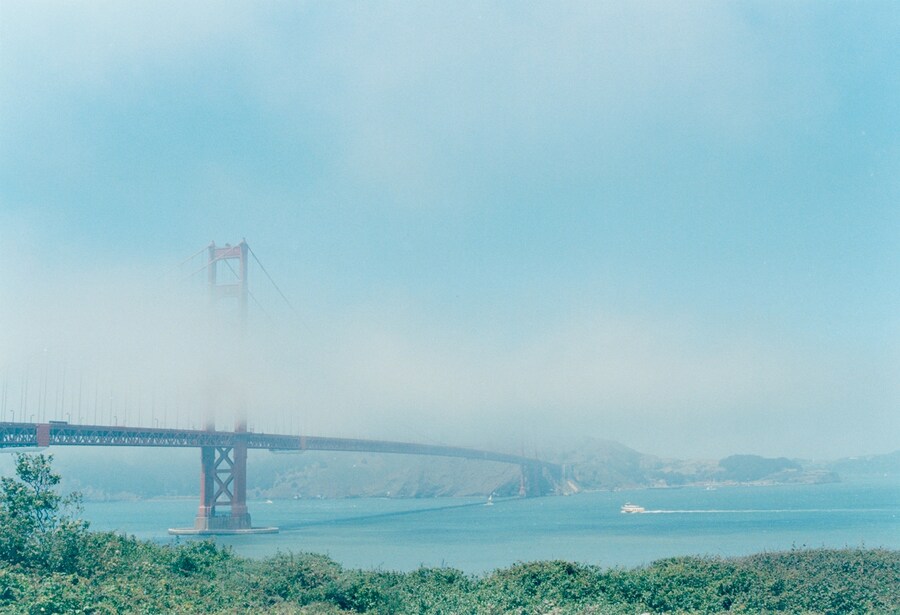 Photography by Niall O&#39;Brien