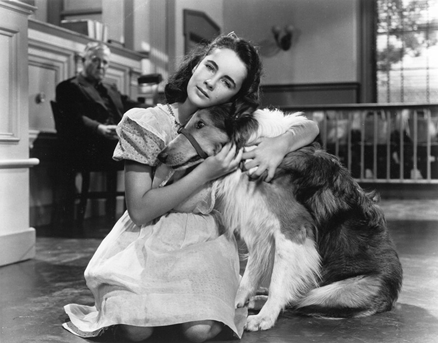 Elizabeth Taylor in Lassie Come Home (1943)