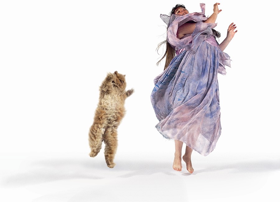 Image from Dancing with Cats by Burton Silver
