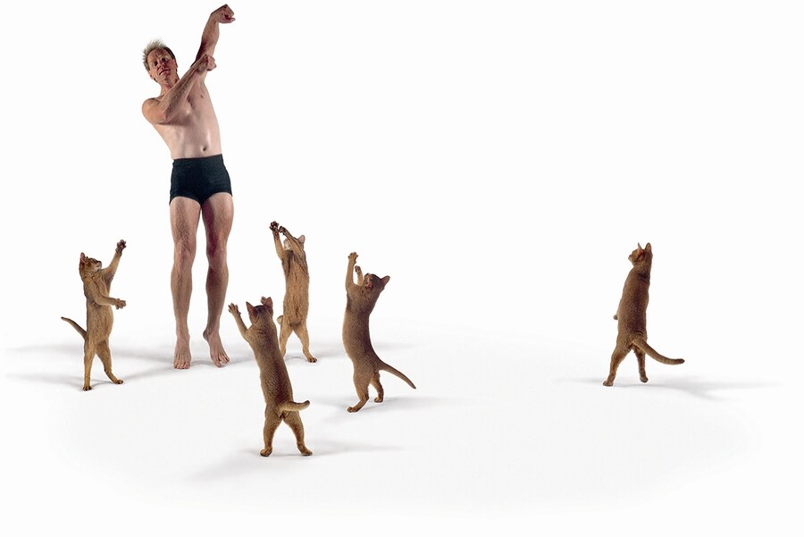 Image from Dancing with Cats by Burton Silver