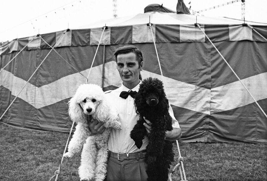 From Circus by Giuliano Plorutti