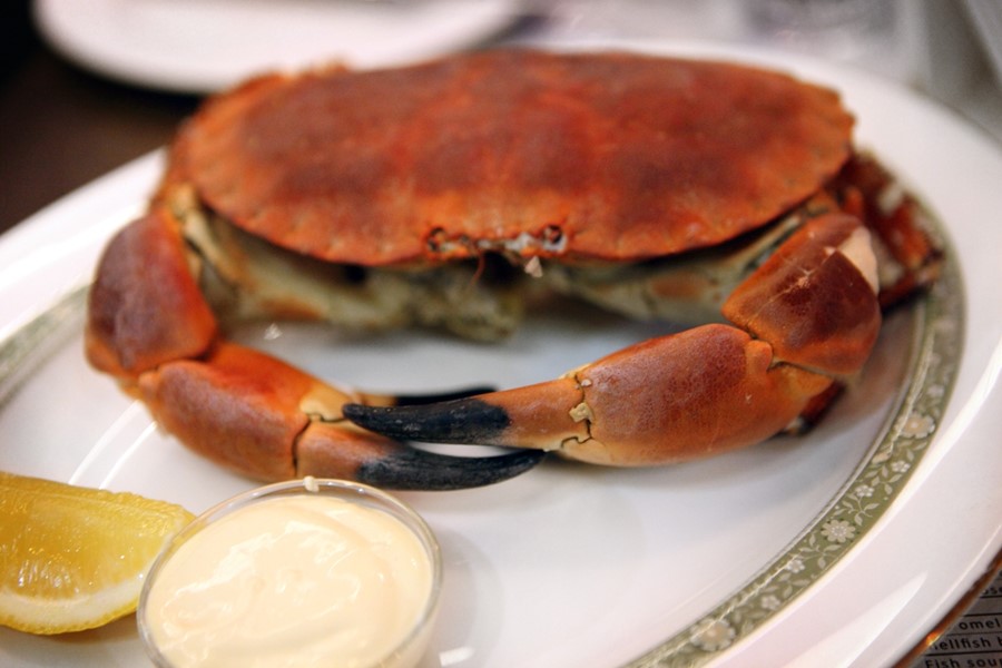 Whole brown crab