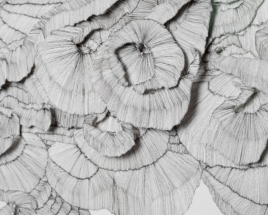 Inheritance (detail) by Alice von Maltzahn