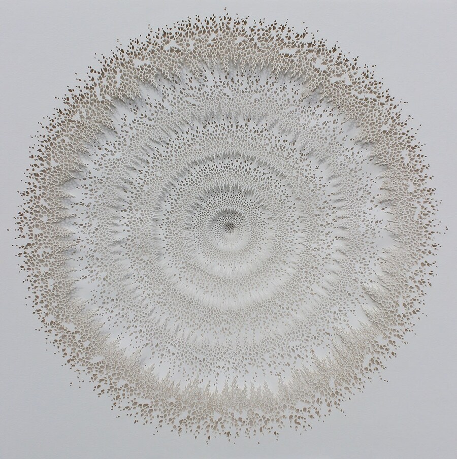 Clone, 2012, by Rogan Brown