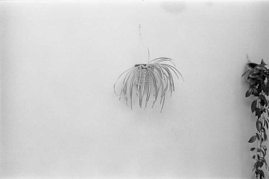 Michael Schmidt, Untitled, 1980