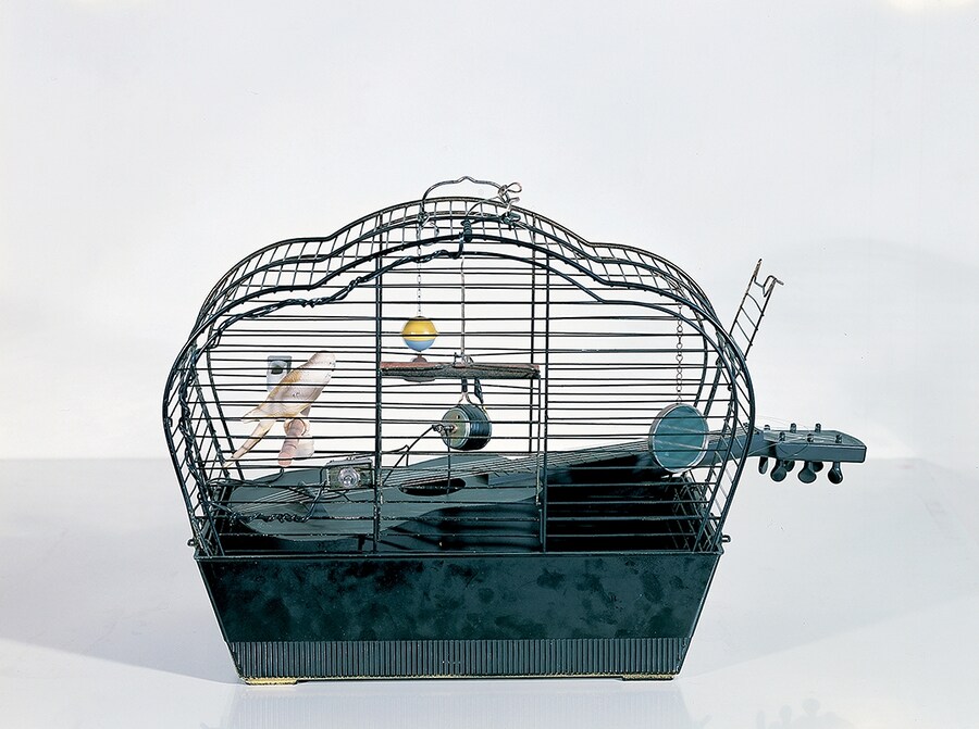 Joe Jones, Bird Cage, 1964
