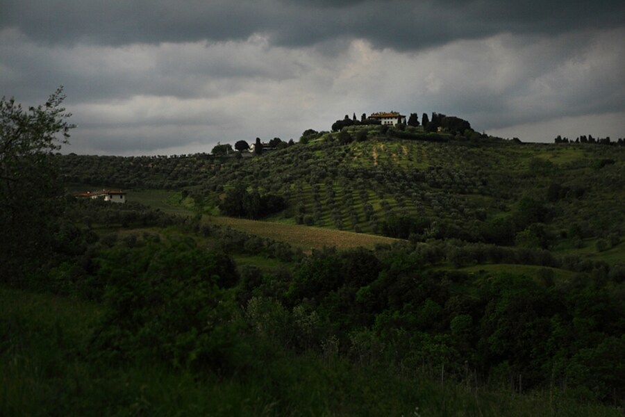 Villa la Ferdinanda, site of Salotti del Gusto