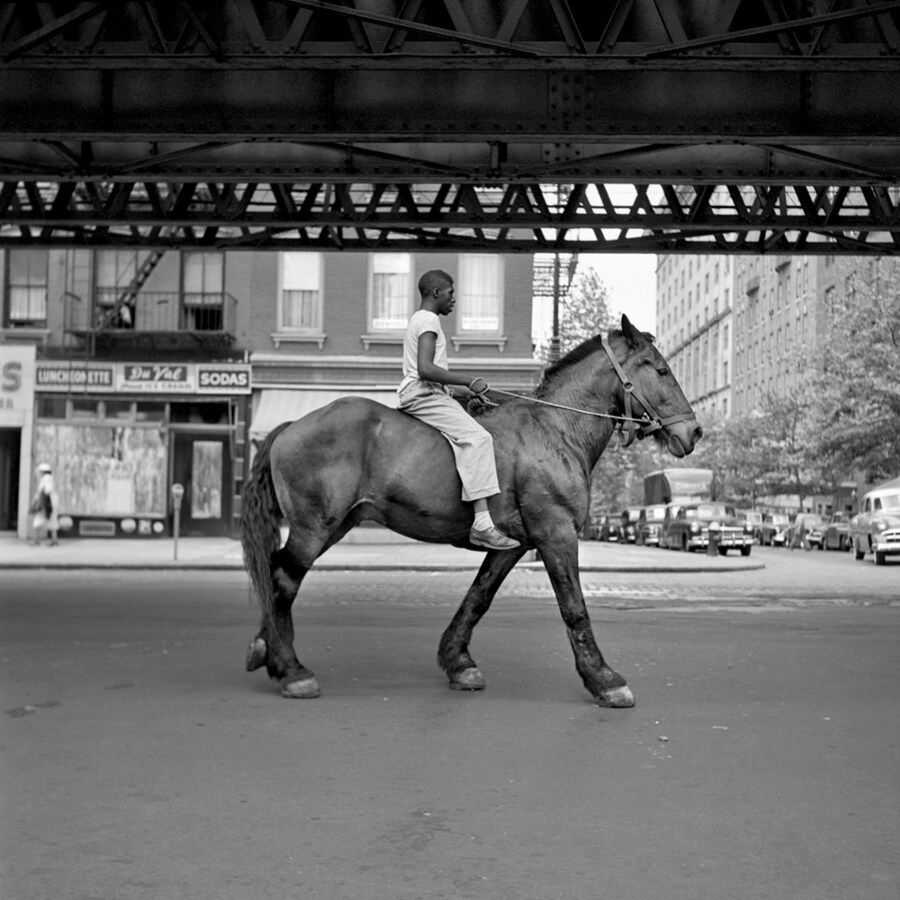 African-American Man on Horse, NYC