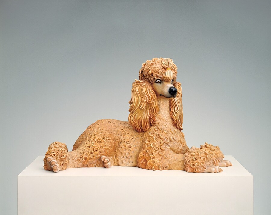 Poodle, 1991