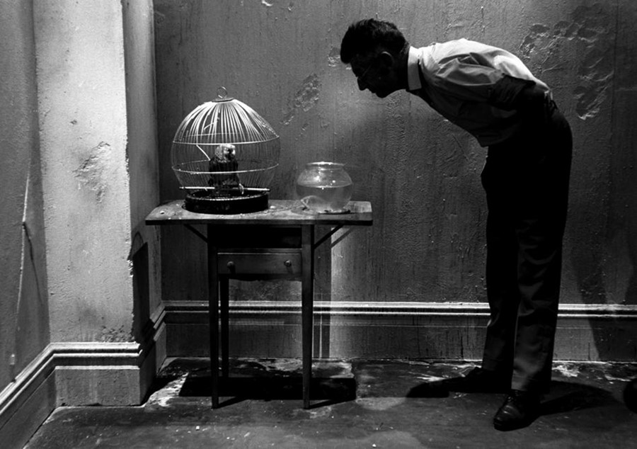 Samuel Beckett Looking at Parrot, New York, 1964
