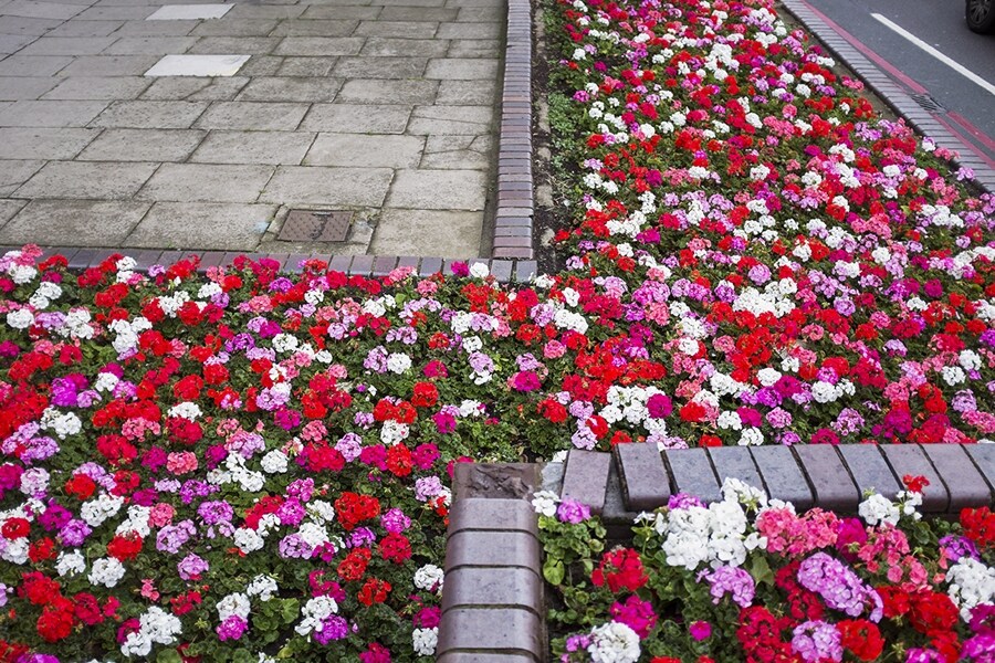London in Bloom