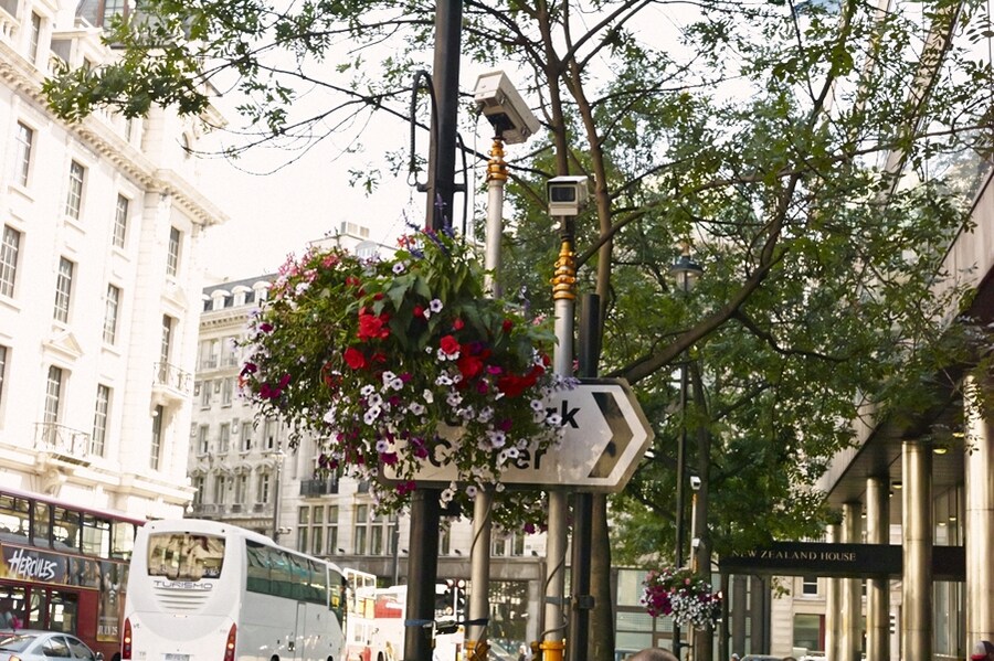 London in Bloom