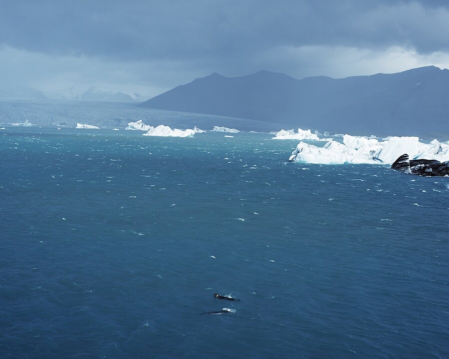 Iceland