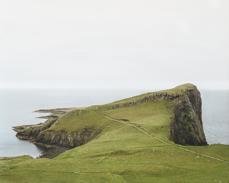 Niest Point, Jan Kempenaers, 2006
