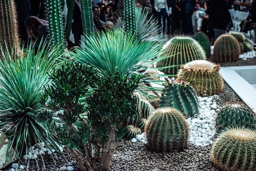 At Via Palermo, for Iceberg S/S15