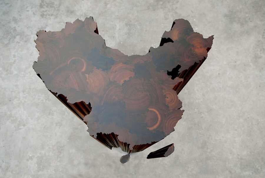 Ai Weiwei, Map of China, 2009