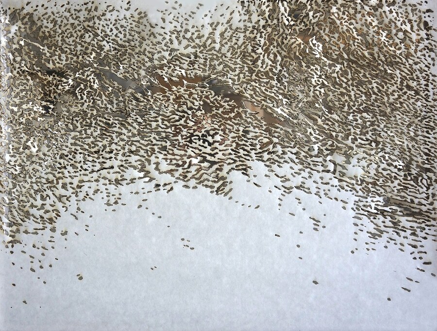Emilie Pugh, Ebb III, 2014