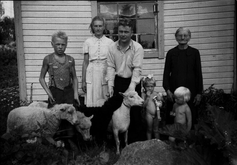 From Family, by Arja Hyyti&#228;inen