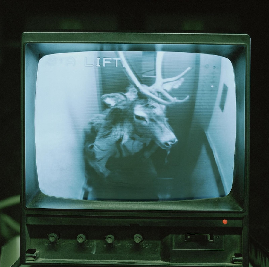 Journey to the Lower World, Marcus Coates