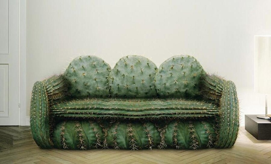 Cactus sofa