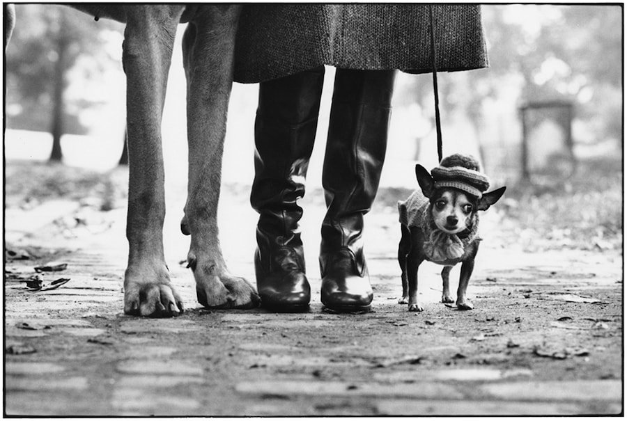 Elliott Erwitt, USA, New York City, 1974