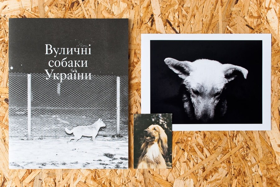 Village - Ukrainian Street Dogs by Christopher Nunn made dur