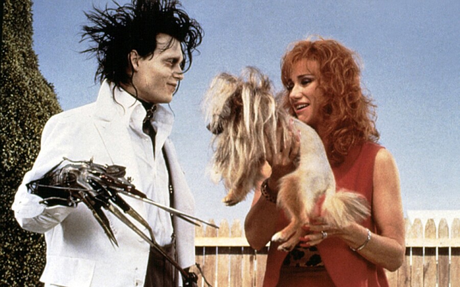 Edward Scissorhands